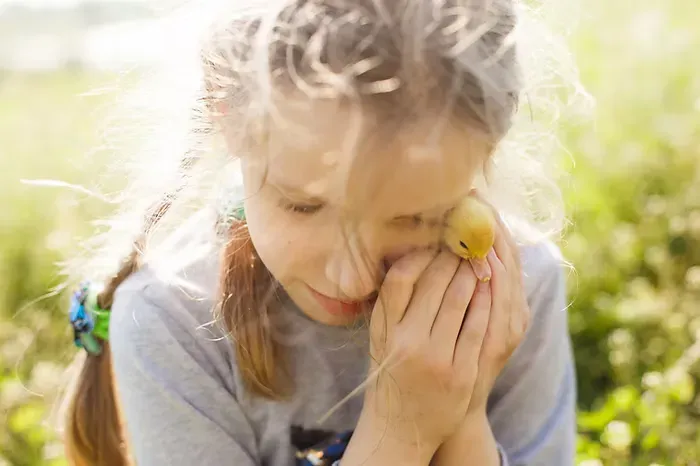 child-duck.webp