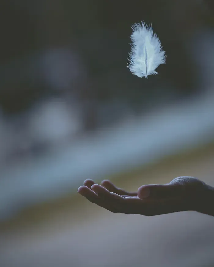 falling-feather.webp