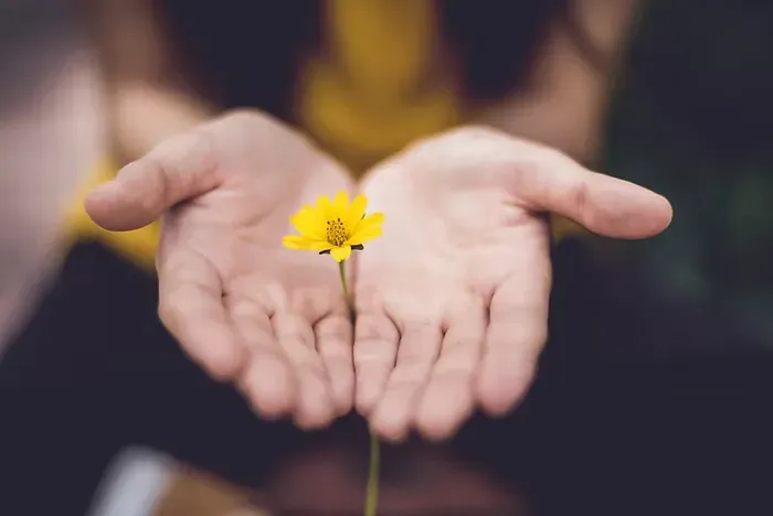 flower-hand.webp