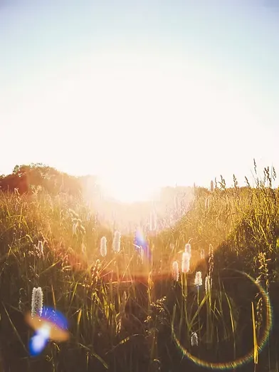sunrise.webp